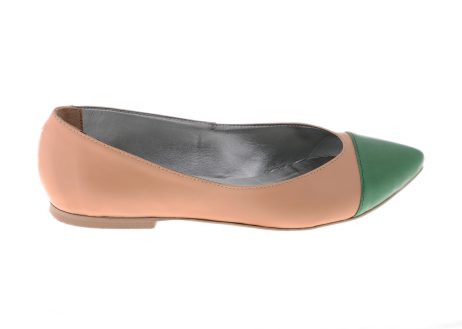 Balerini piele dama Clasi varf ascutit W1